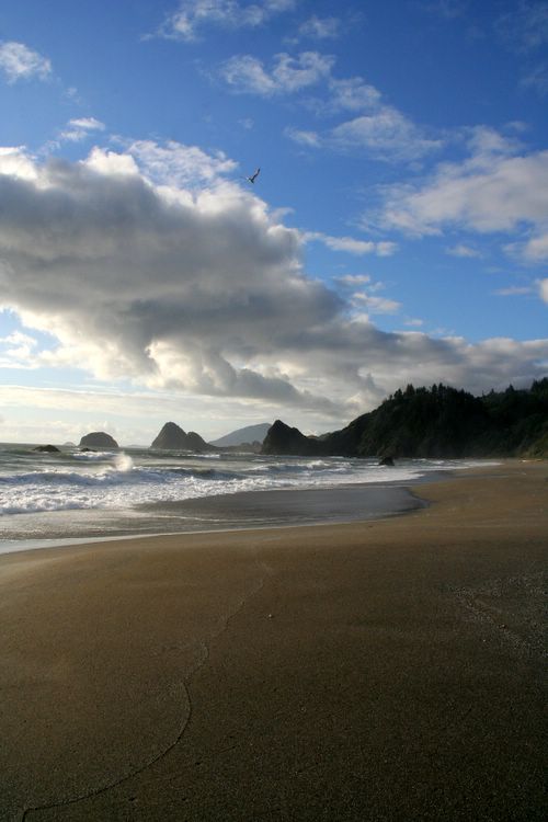 southern oregon beach